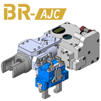 BR-AJC_E_logo.png